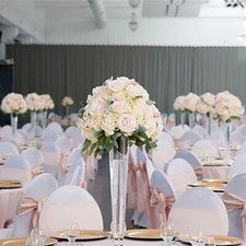 1x  20" tall Clear GLASS