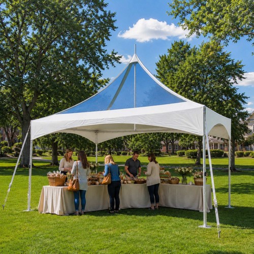 10x20 canopy party tent - party,
