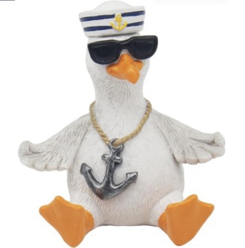 Seagull bird sailor - bird,