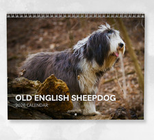 Old English Sheepdog Calendar 2026: Monthly Wall Calendar with Notes