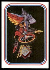 Raleigh 1984 BMX Bike Racing