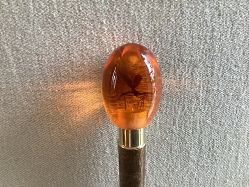 Jurassic park amber - amber, mosquito