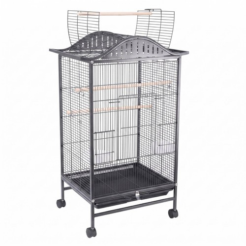 Large parrot aviary - parrot,
