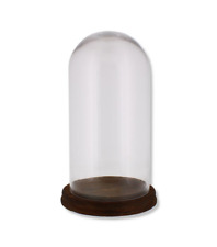 Glass Bell Jar Oval Cloche On Dark Wood Base Display Stand Decoration Rose 33cm