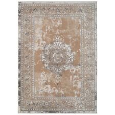 Beige Area Rug Traditional Distressed Design Soft Silk Like Pile Door Mat Runner