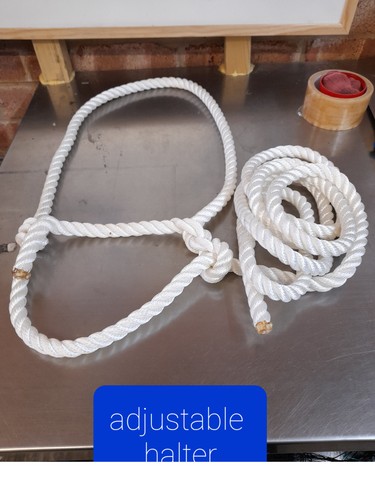Rope halter white head - rope, halter,white