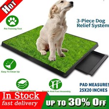 Pet Dog Toilet Mat Indoor