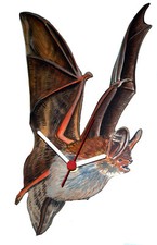 Bechstein's Bat Clock -