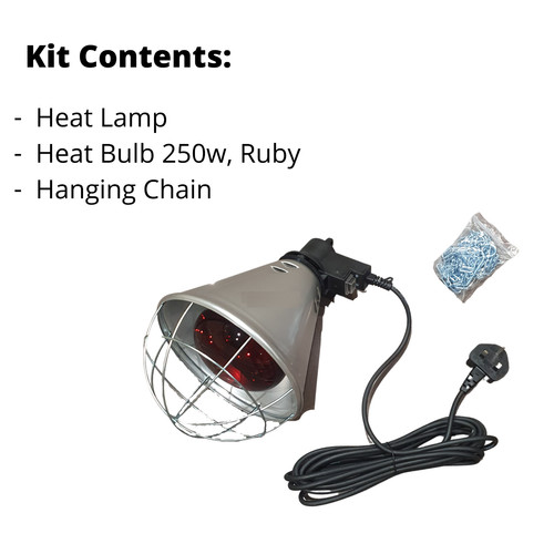 Infra red heat lamp bulb - red, &