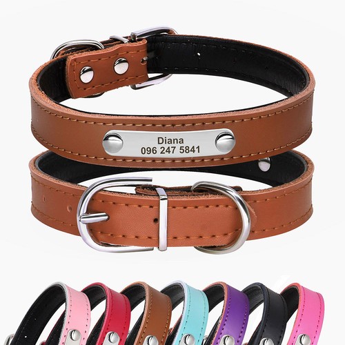 Personalized dog collar free - personalized,