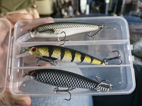 Pike fishing lures - fishing,