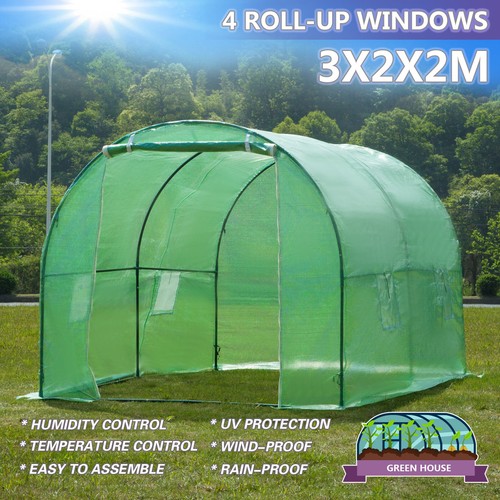 3mx2m walk greenhouse polly - walk-in,