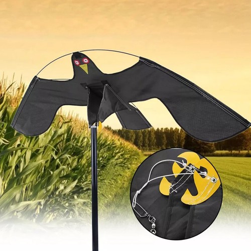 Flying hawk kite garden - flying,