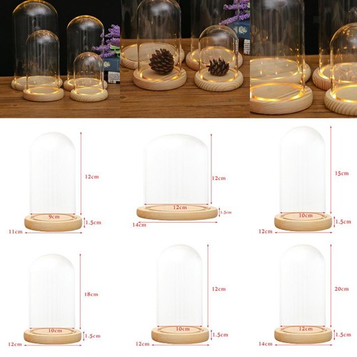 Decorative clear cloche - clear, bell