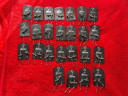 Harry potter earrings warner - potter,
