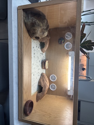 Vivarium reptile tortoise - vivarium,