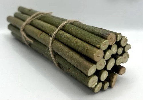 Freshly picked willow - freshly,