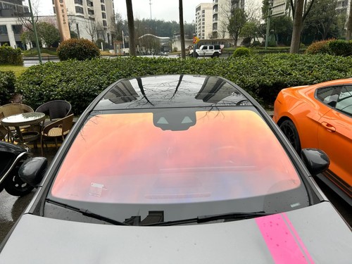 5m windscreen ghost - x,