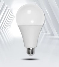LED B22 E27 Globe Bulb Cool