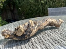 37cm gnarled driftwood log - driftwood,