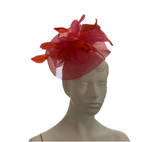Salmon pink orange feather - pink,