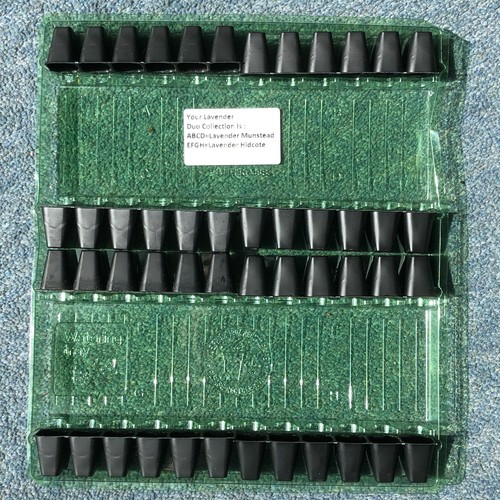 Postage pack with - with, 48