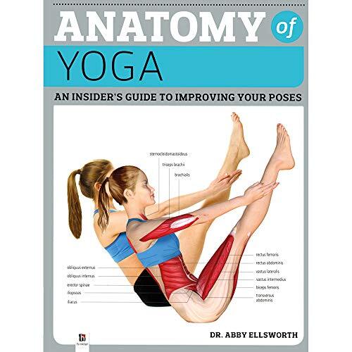 Anatomy yoga - anatomy, of