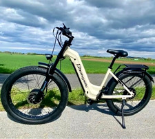 Dual Motor 26"E-Mountain Bike 48V/17.5Ah Fat Tyre Off-Road E-Bike for Adventure