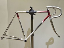 Concorde Astore 54 cm (c-t) /