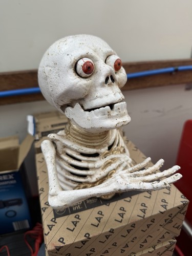 Skeleton money bank - skeleton,