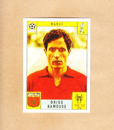 Panini fifa world - panini,