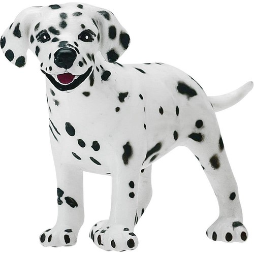 Dalmation puppy dog - puppy, by