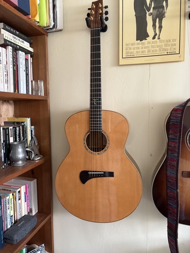 Tanglewood tsr master - tsr-3, design