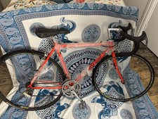 Steve Goff Racing Road Bike S