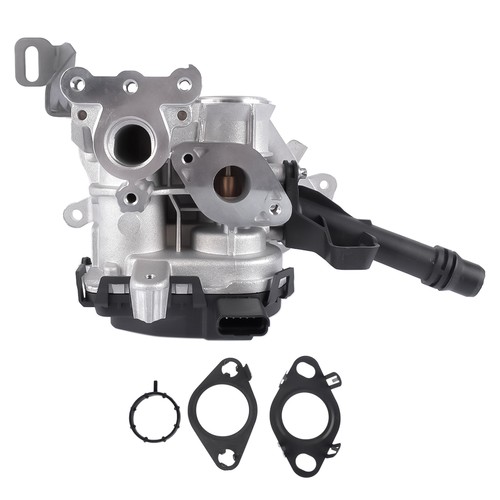 Egr valve for - valve,
