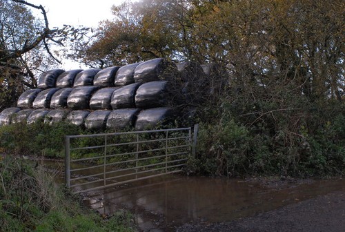Photo 6x4 silage - 6x4, bales