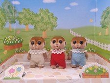 Sylvanian Families Spotter