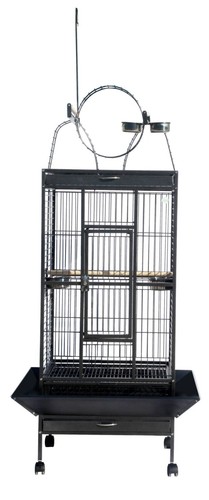Pegasus medium bird - medium,