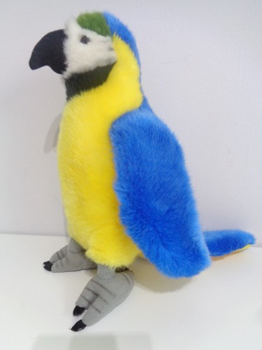 Blue parrot macaw bird - macaw, soft