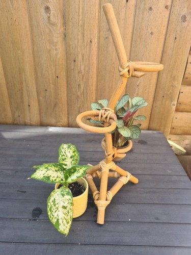 Cute small vintage bamboo - **,