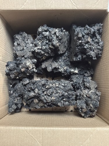 Carbonised cork reptile bio - cork,
