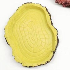 Tortoise Feeding Bowl Food Snake Vivarium Feeder Water Dish Gecko Resin Reptile