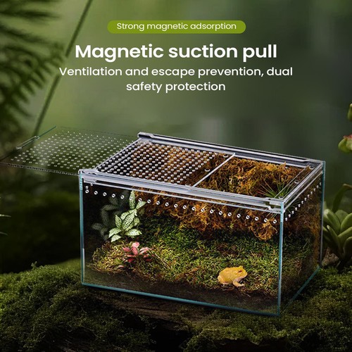 Spider enclosure transparent - enclosure,