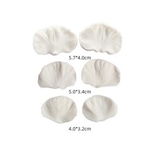 Flower Butterfly Orchid