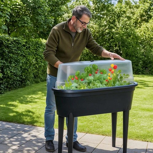 Mini greenhouse propagator - mini,