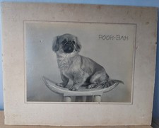 Antique Pekingese Dog Studio