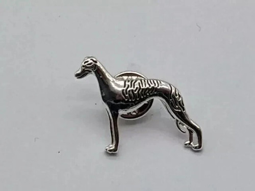 Greyhound whippet lurcher dog - whippet,