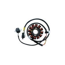 Original Type Stator Kymco People S/S DD 125 2005-2013