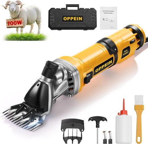 2025 upgraded sheep - 2025,