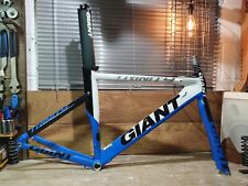 50cm Giant Trinity 0 Tri TT Frameset